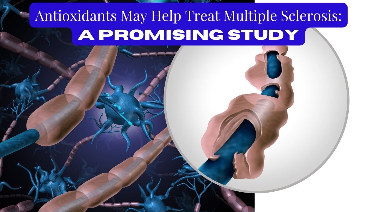 Antioxidants May Help Treat Multiple Sclerosis A Promising Study